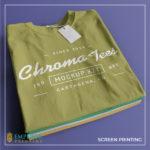 Screen Printing T-shirts