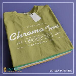 Screen Printing T-shirts